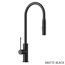 AZIZ Multifunction Pull-Down Head PCC1002